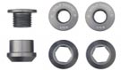 Chainring bolts