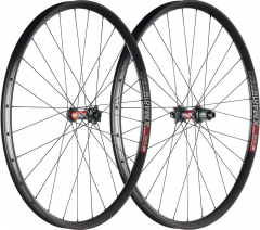 29-inch MTB wheelset built by TNC