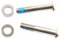 Flat-mount screws