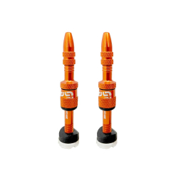 Tubeless valves