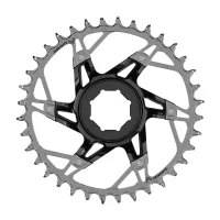 T-Type e-bike chainring