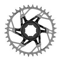 T-Type e-bike chainring