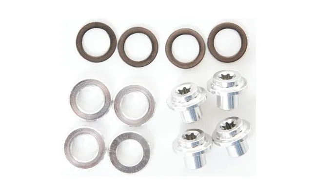 Campagnolo replacement discs and nuts for SR-R-CH brake pads from 2000 onwards