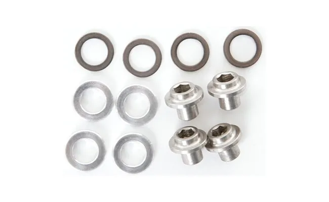 Campagnolo replacement discs and nuts for AT-CE brake pads from 2000 onwards