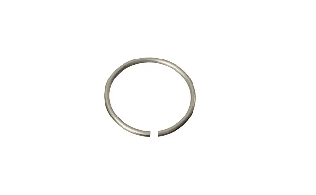 Rohloff Speedhub retaining ring for plug-in sprockets