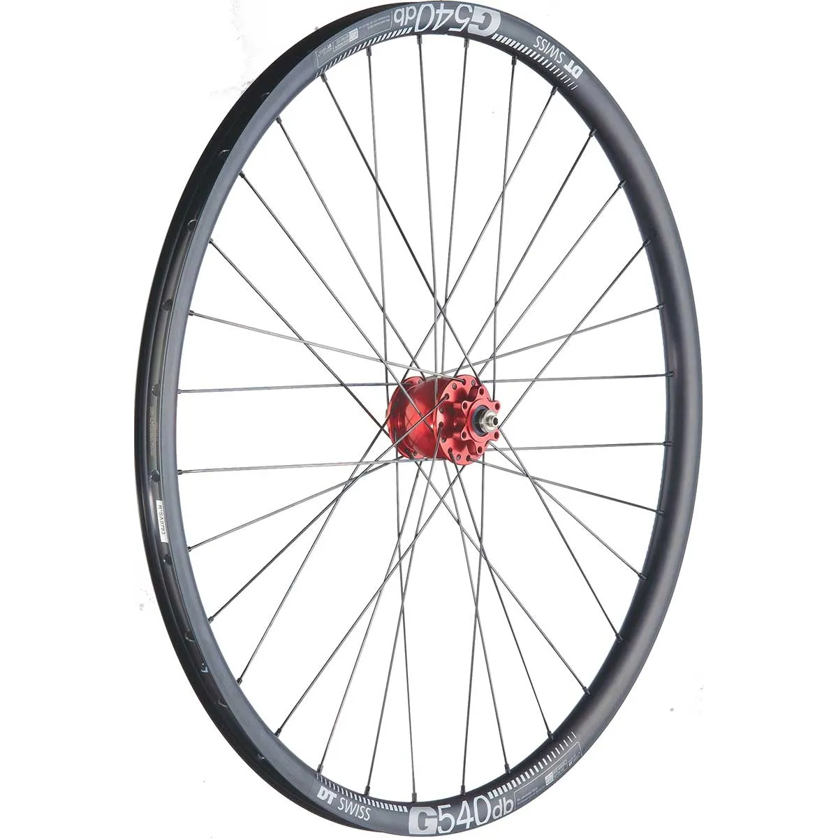 28-inch gravel front wheel Schmidt SON 28 Disc hub dynamo + DT Swiss G 540 Disc rim | built by TNC