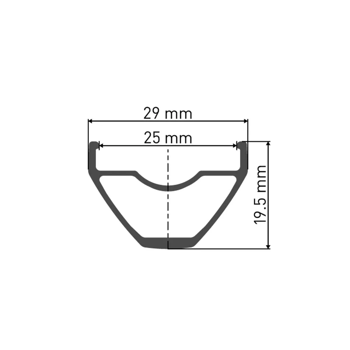 DT Swiss X 1900 Spline Front Wheel Boost 29-inch DCL