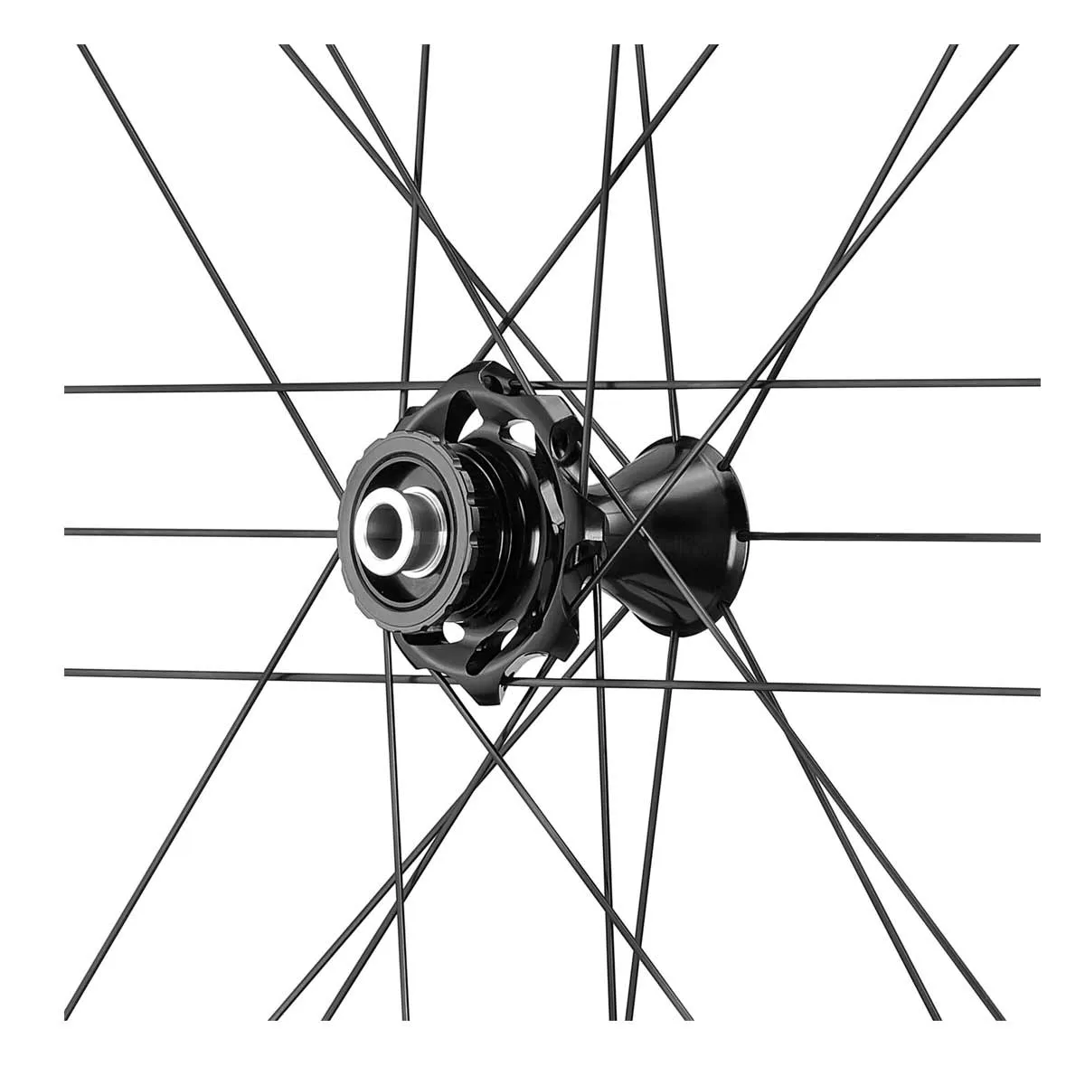 Campagnolo Bora WTO 60 DB wheelset Disc CL Rotor Campagnolo N3W