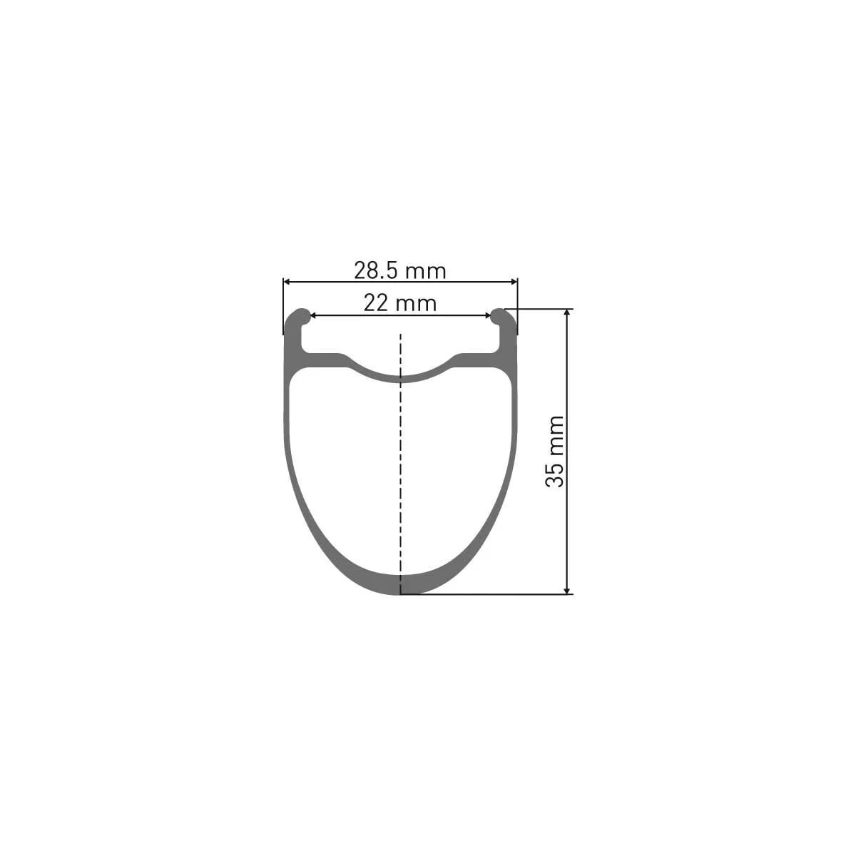 DT Swiss ERC 1400 Dicut DB 35 Front Disc Wheel CL 28 inch / 700C