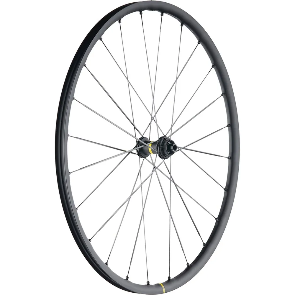 Mavic Allroad SL UST Disc Centerlock | Replacement spoke for front or rear wheel 298 mm incl. nipple