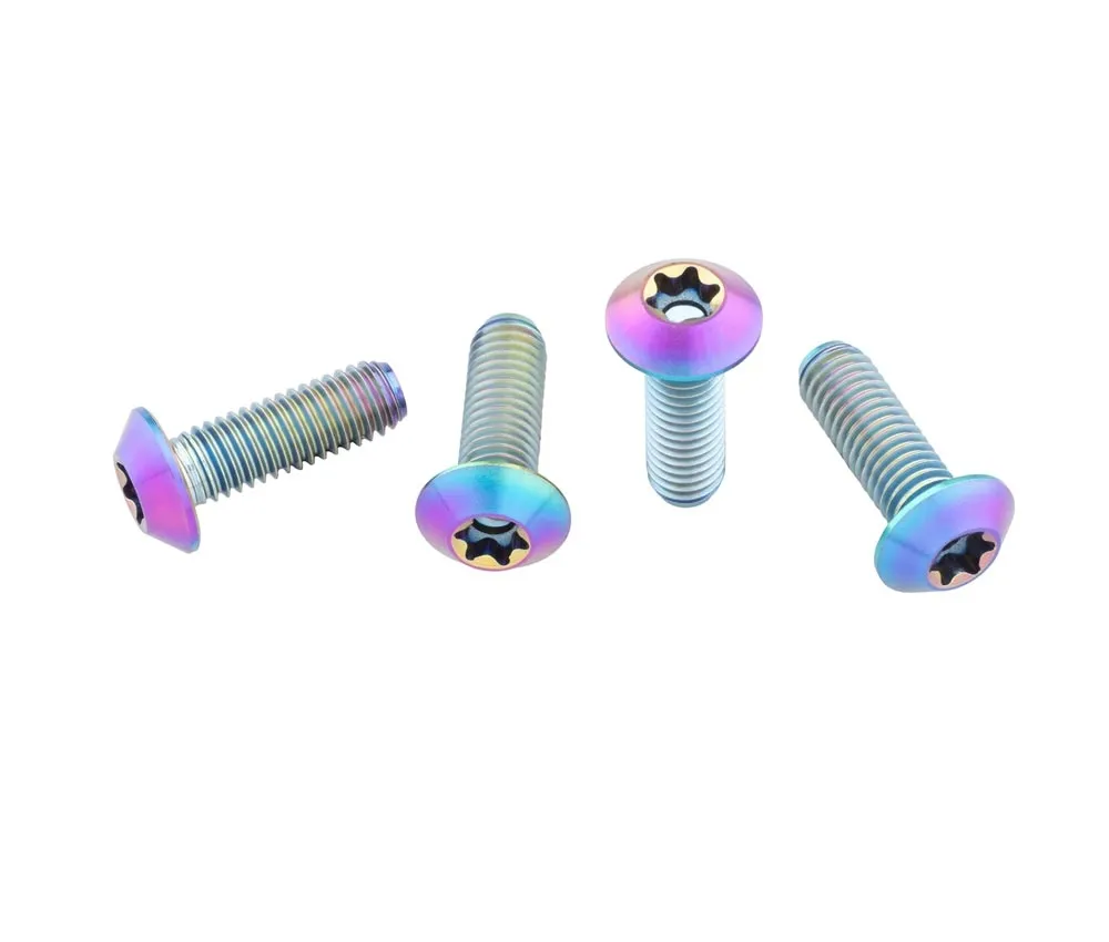 Wolf Tooth Titanium Bottle Cage Screws - M5x15mm Pan Head rainbow oilslick | Set of 4