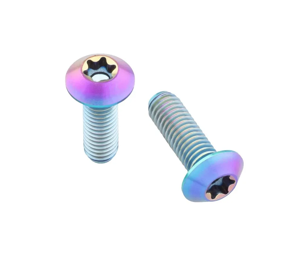 Wolf Tooth Titanium Bottle Cage Screws - M5x15mm Pan Head rainbow oilslick | Set of 4