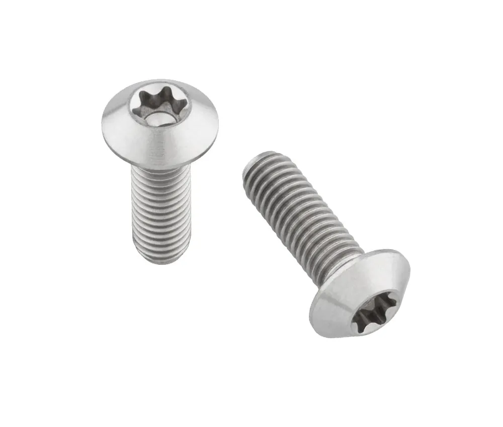 Wolf Tooth Titanium Bottle Cage Screw Set – M5x15mm Pan Head, Silver – Remaining stock