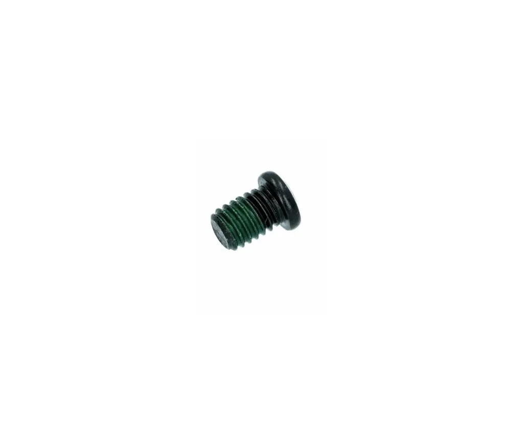 Shimano spare part DURA-ACE / Ultegra / 105 rim brake | Mounting screw M4x5.5mm