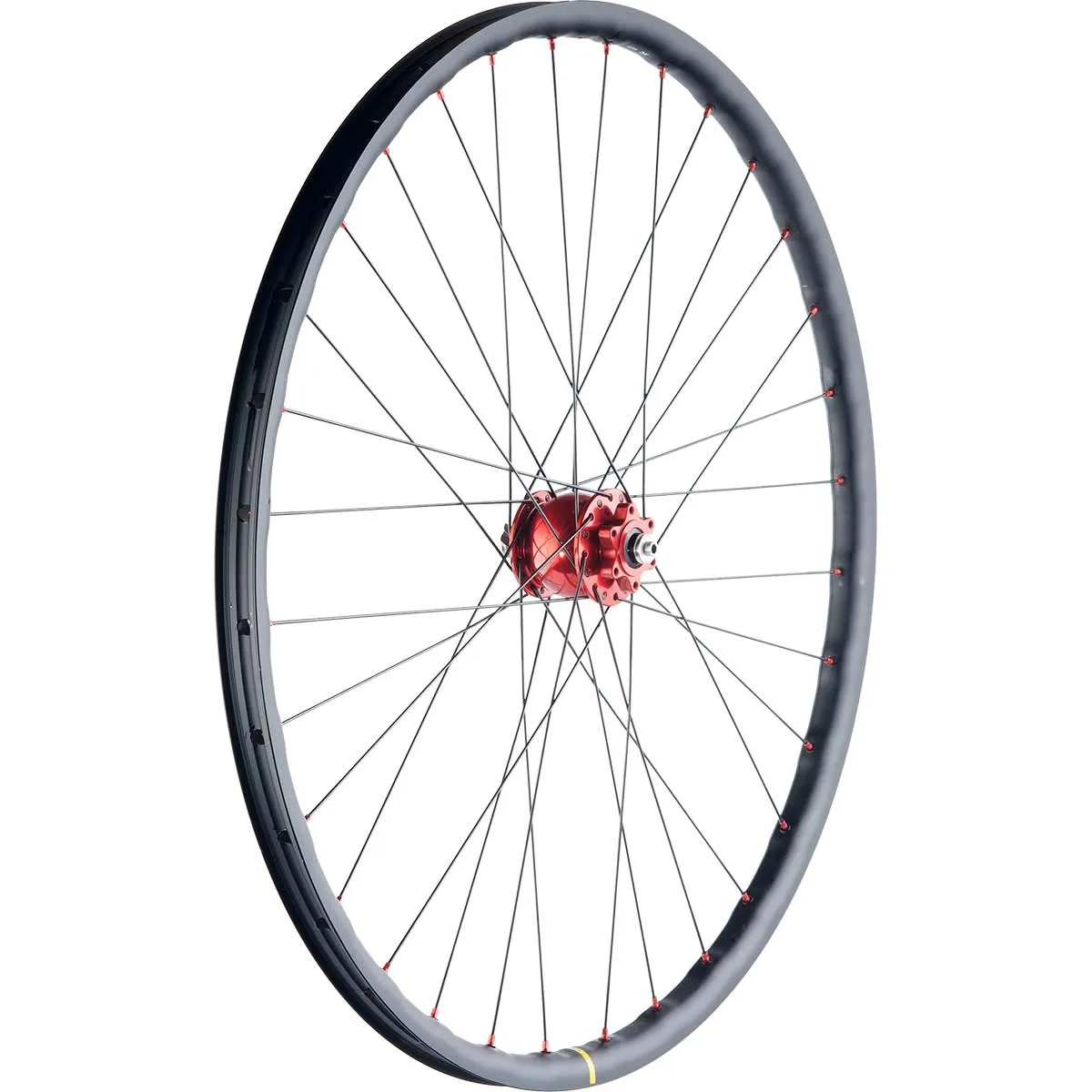 28-inch gravel front wheel Schmidt SON 28 Disc hub dynamo + Mavic XC 1025 Disc rim, built by TNC