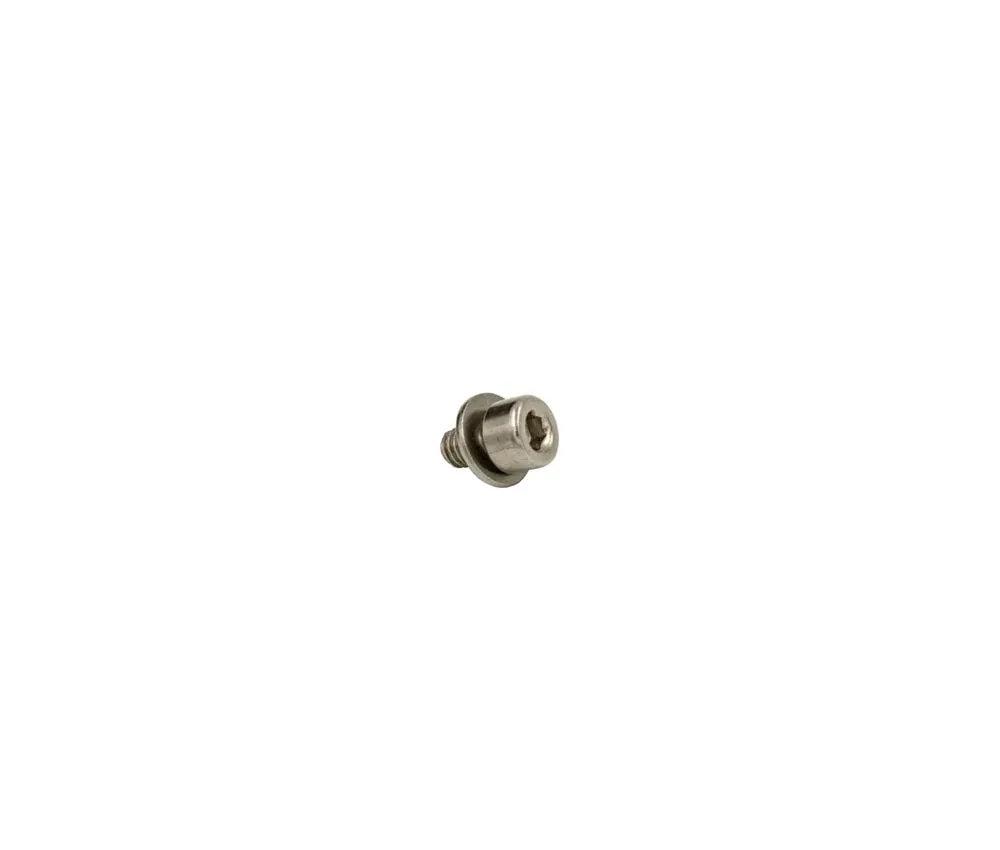 Wolf Tooth ReMote / ReMote LA Spare Part | Clamping screw M4x6 mm