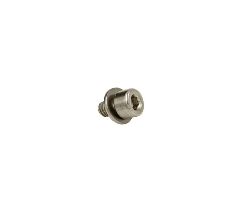 Wolf Tooth ReMote / ReMote LA Spare Part | Clamping screw M4x6 mm