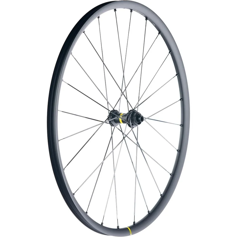 Mavic Allroad S UST Disc Centerlock | Replacement spoke for front or rear wheel 298 mm incl. nipple