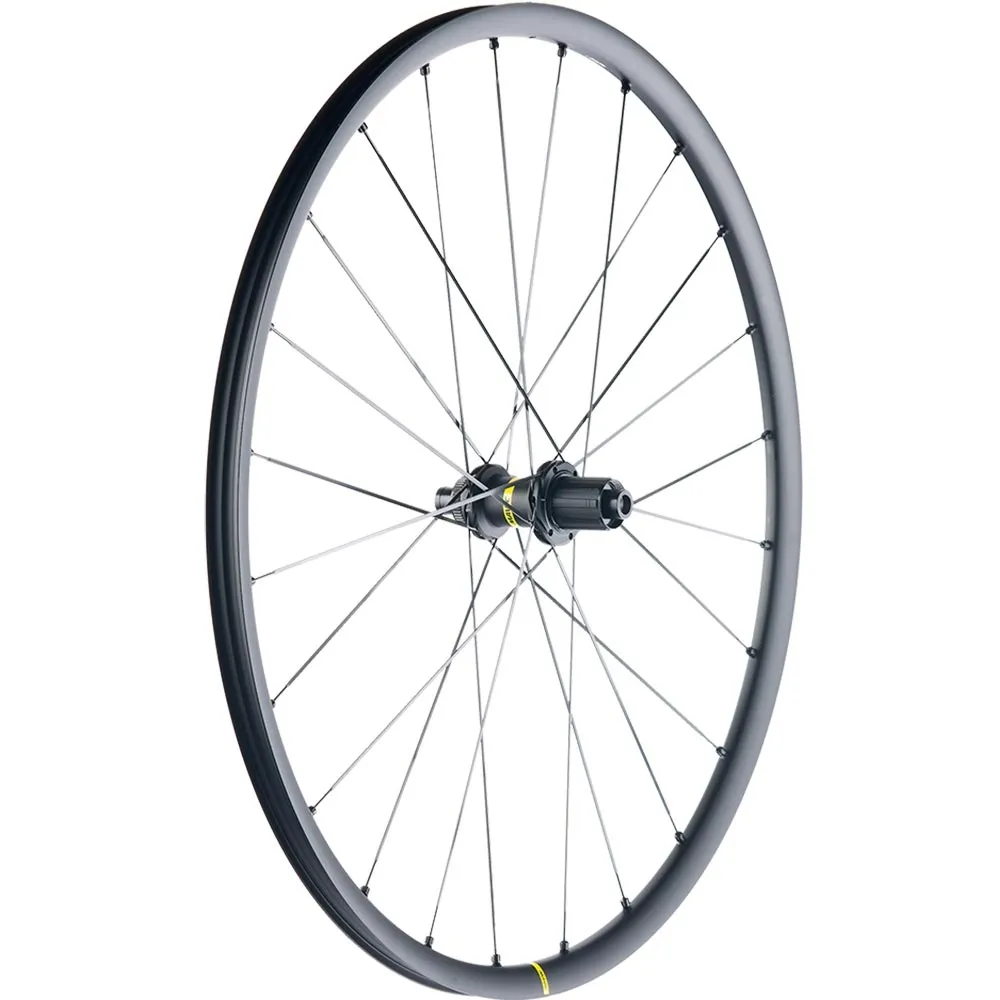 Mavic Allroad S UST Disc Centerlock | Replacement spoke for front or rear wheel 298 mm incl. nipple