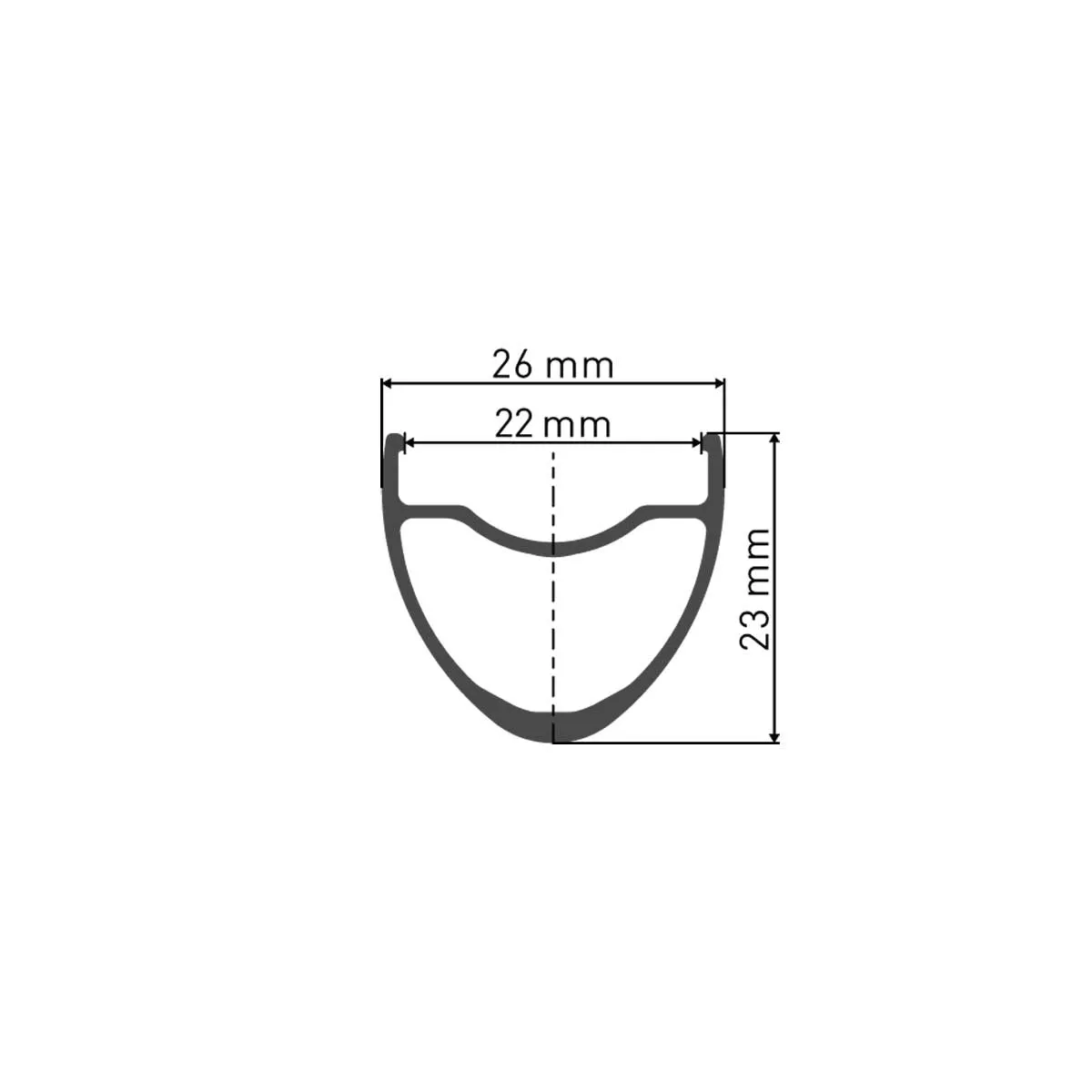 DT Swiss E 1800 Spline DB 23 Rear Wheel 28-inch / 700C Disc CL Mod 2024