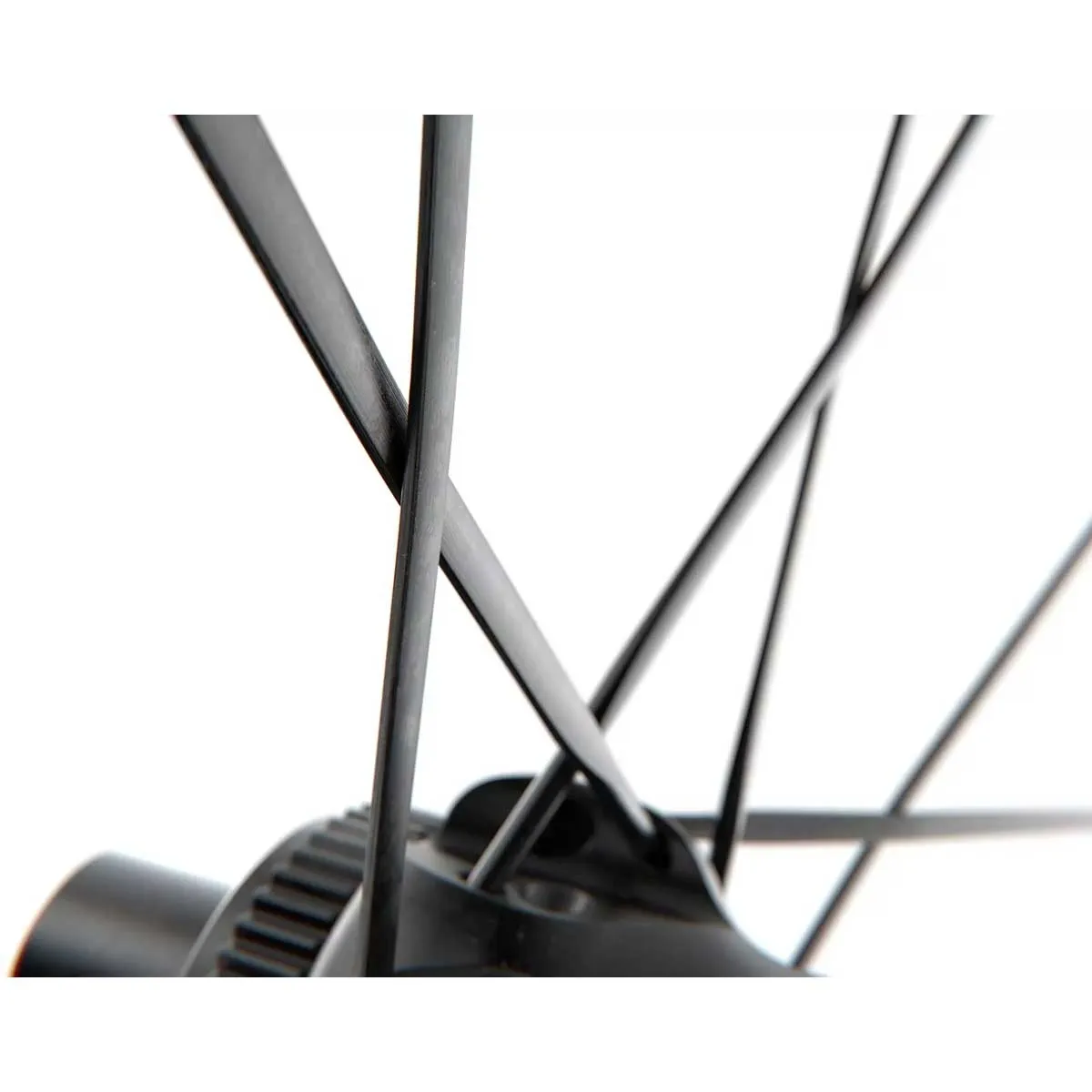 DT Swiss C 1800 Spline DB 23 Rear Wheel 28-inch Disc CL 28-inch / 700C