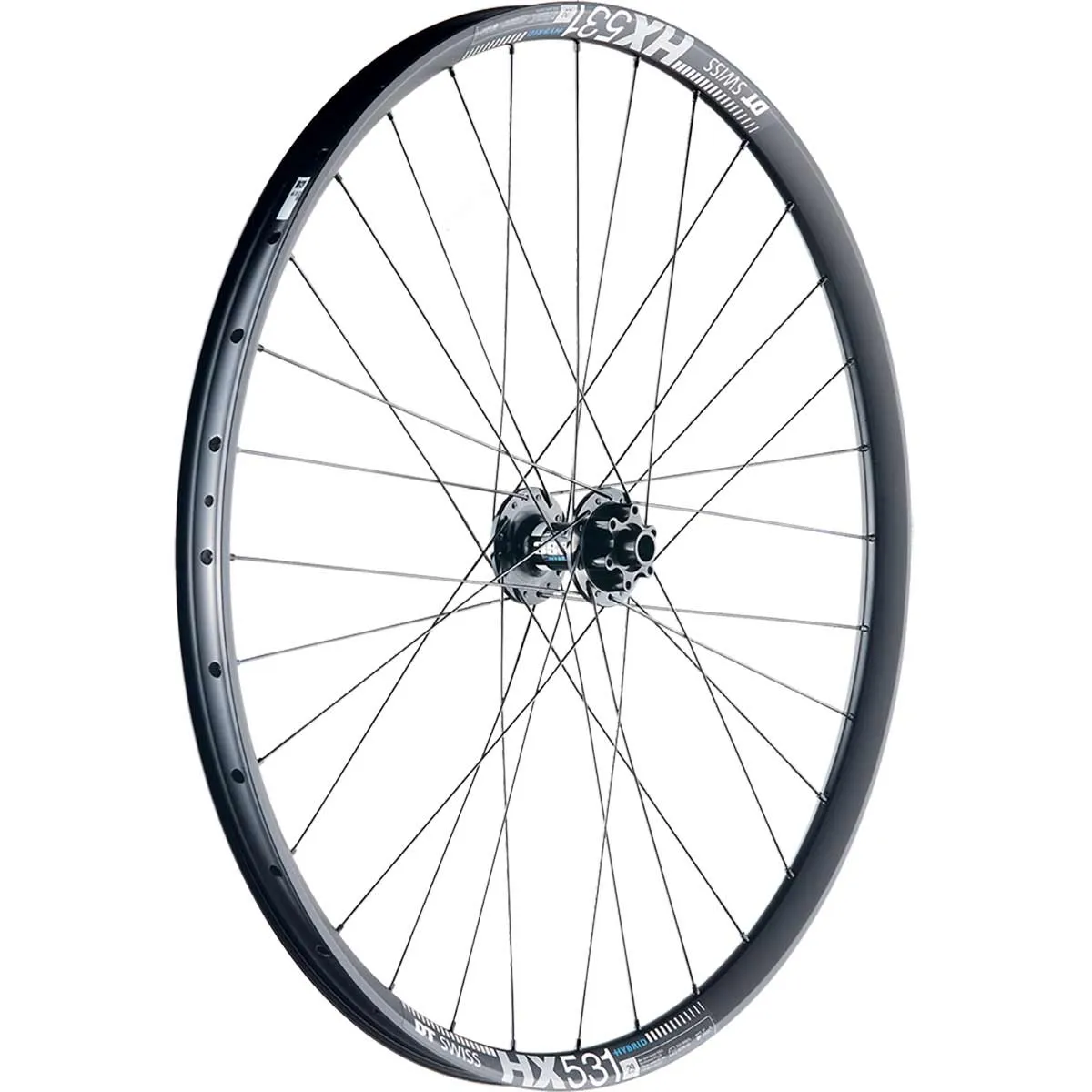 29-inch e-bike front wheel DT Swiss 350 Hybrid hub Disc 6-hole + DT Swiss HX 531 rim | built by TNC