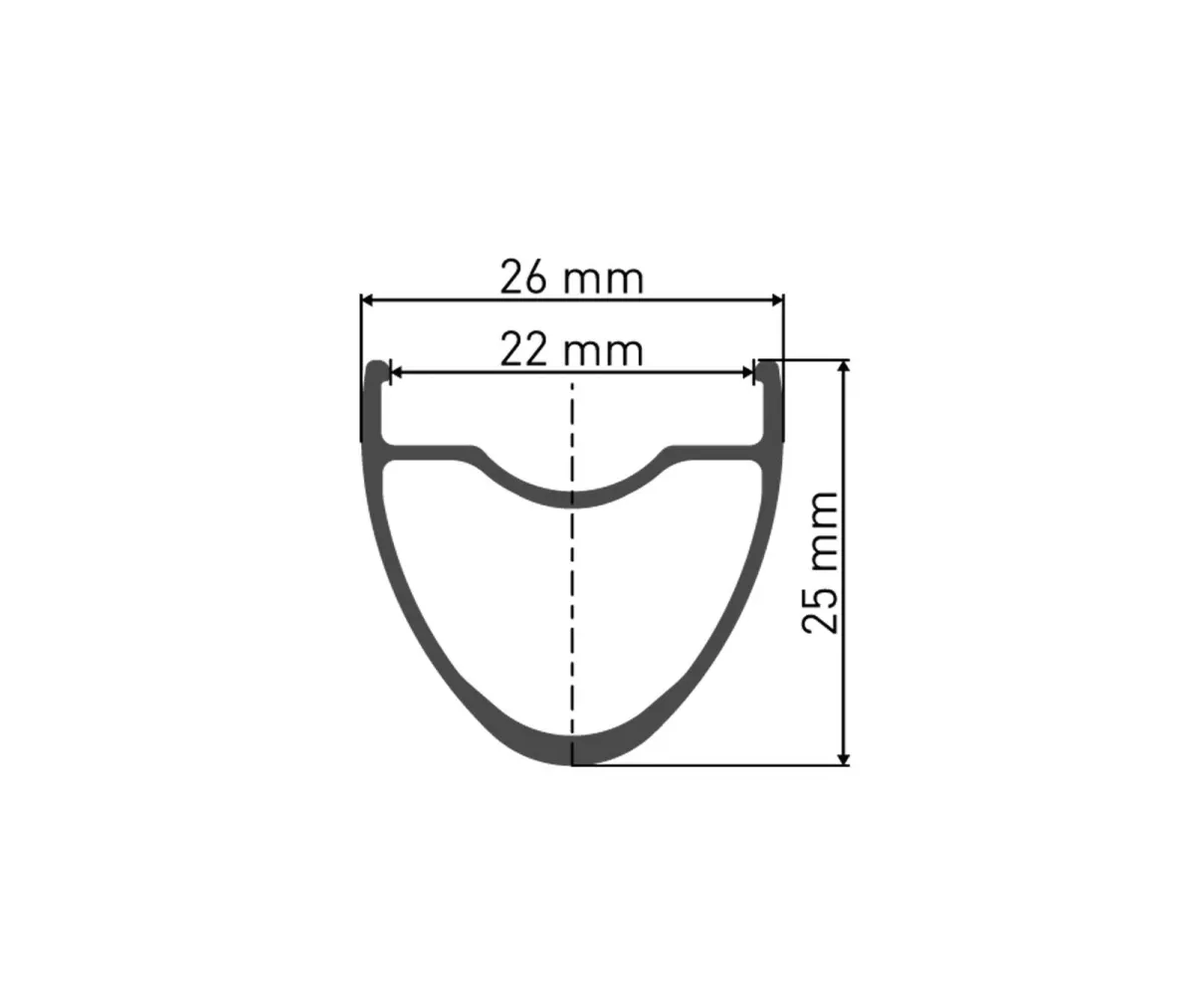 DT Swiss ER 1400 Dicut 25 DB Front Wheel 28 inch/700C Disc CL