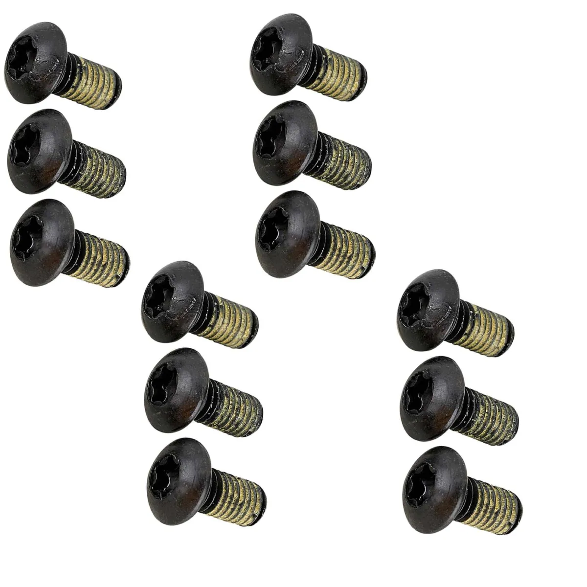 Magura brake disc mounting bolts (Torx), 12 pieces
