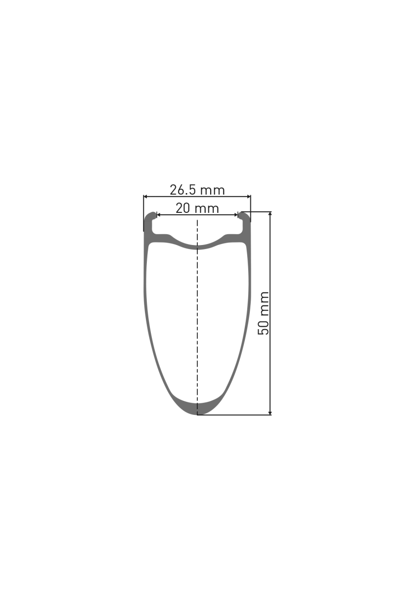 DT Swiss ARC 1100 Dicut DB 50 Rear Disc CL 28-inch / 700C