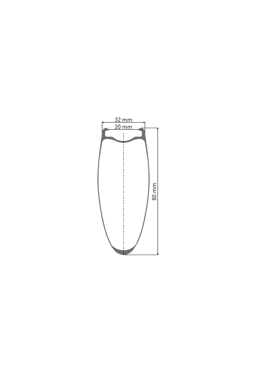 DT Swiss ARC 1100 Dicut DB 80 Rear Disc CL 28-inch / 700C