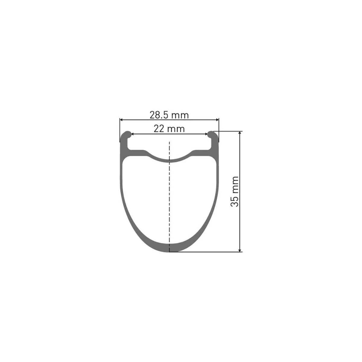 DT Swiss ERC 1100 Dicut DB 35 WTS Front Wheel Disc CL 28 inch / 700C