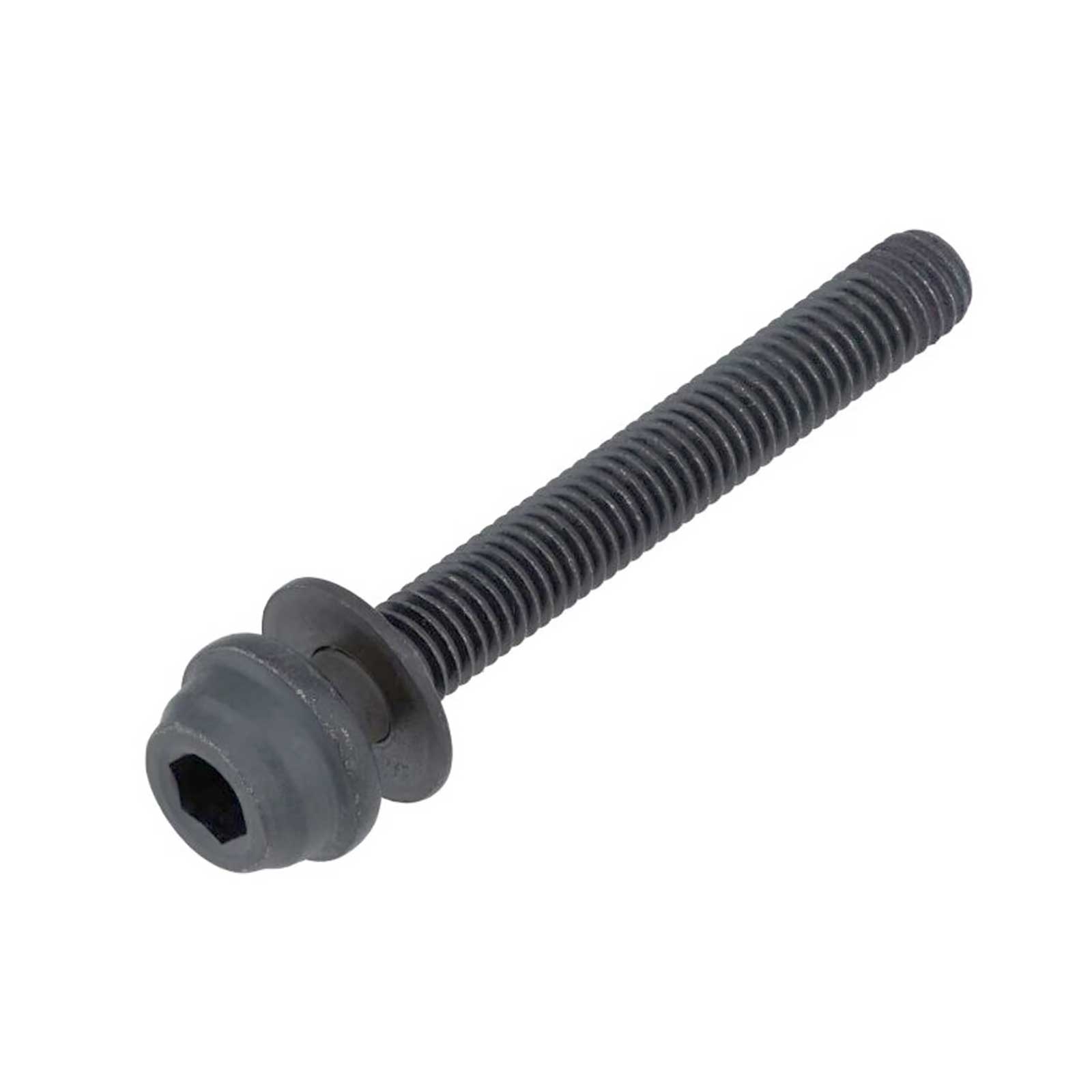 Shimano Flat Mount Caliper Mounting Bolt Type C2 | 29x5 mm for 20 mm frames