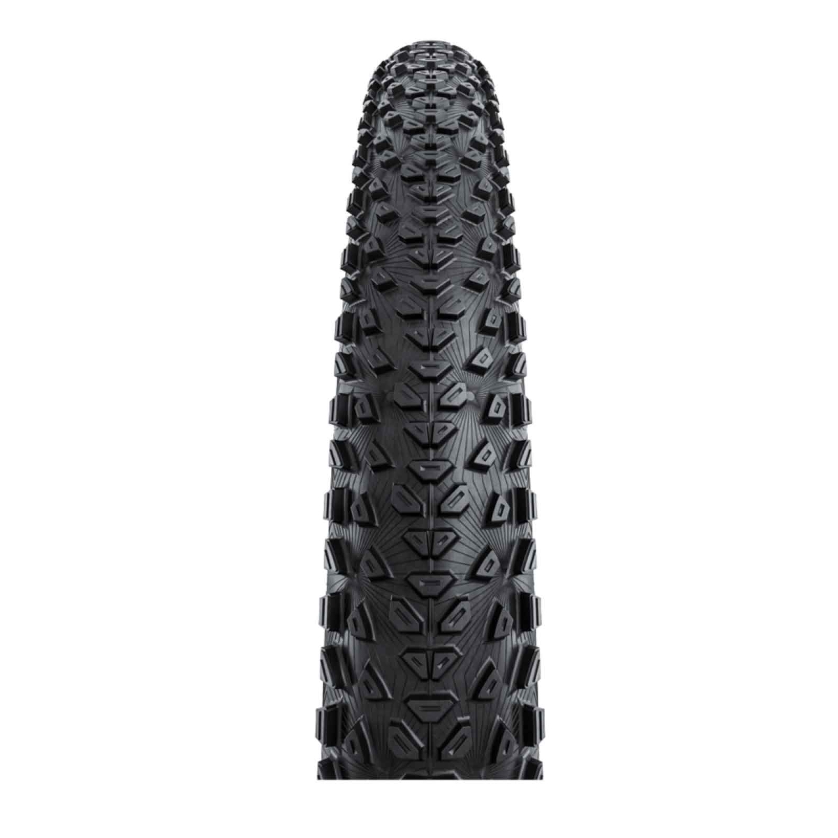 Conti Dubnital RaceRapid Tyre | E-25 TR 29x2.4 inches, transparent-skin