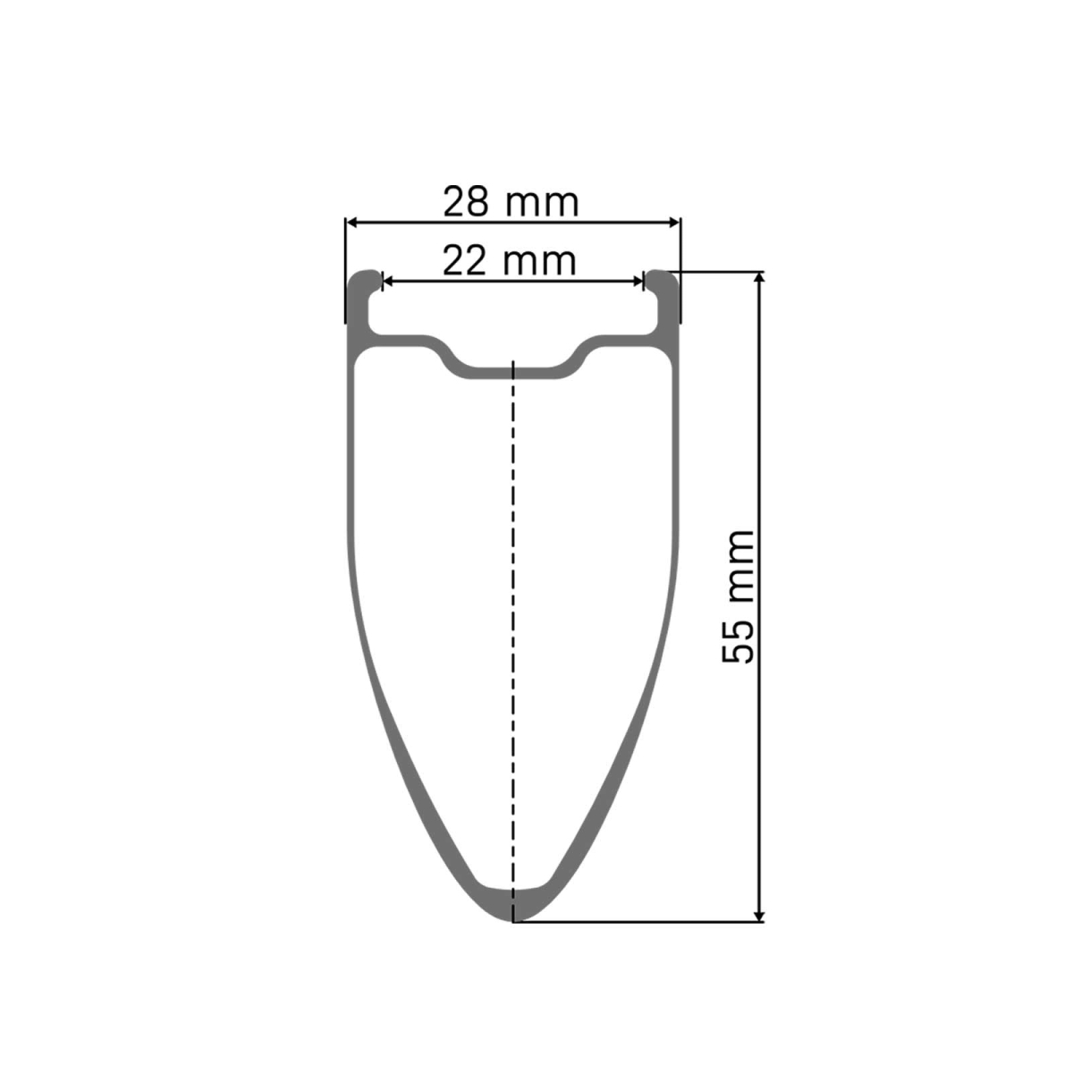 DT Swiss ARC 1100 Dicut DB 55 WTS Rear Disc CL 28-inch / 700c Mod 26