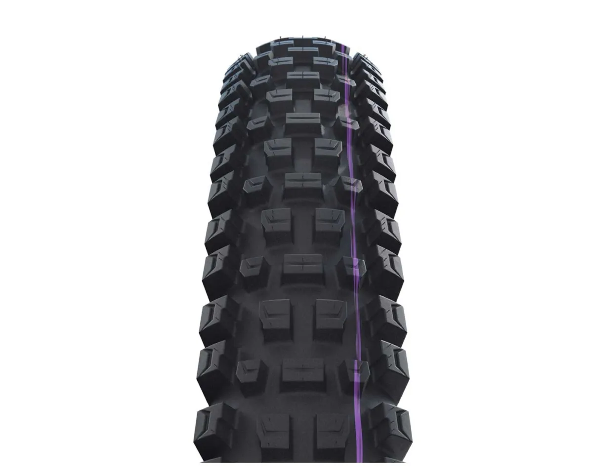 Schwalbe Albert Gravity Pro Tyre UltraSoft TLR 29 inches x 2.60