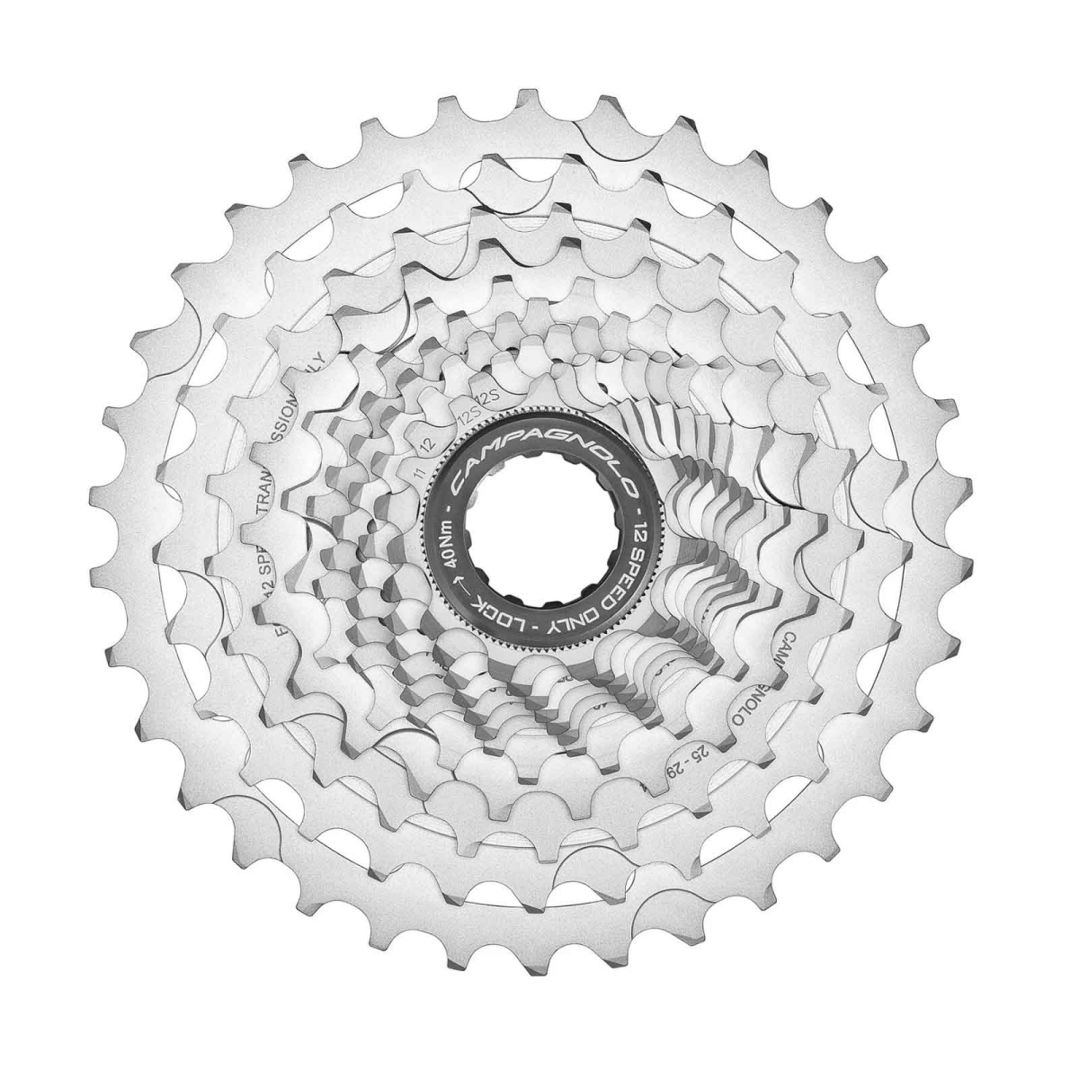 Campagnolo Super Record 12s Disc Flat Mount 12x2-speed Upgrade Kit