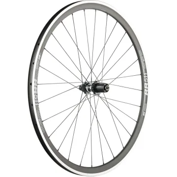Road bike rear wheel DT Swiss 350 Straightpull hub NoDisc + DT Swiss UB rim 28 inches | built by TNC
