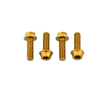 Wolf Tooth Aluminium Bottle Cage Screw Set – M5x15mm Cylinder Head Gold