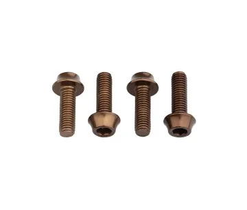 Wolf Tooth Aluminium Bottle Cage Screw Set – M5x15mm Cylinder Head, espresso