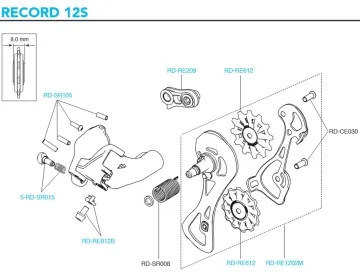Campagnolo Record 12s Rear Derailleur Spare Part RD-RE012B | Cable clamp disc + screw