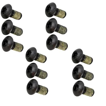 Magura brake disc mounting bolts (Torx), 12 pieces