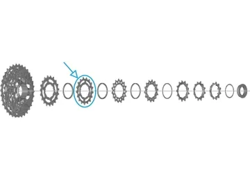 Shimano 105/GRX CS-HG710 12-speed cassette spare part | 17-tooth sprocket No. 8