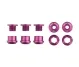 Wolf Tooth Chainring Bolt Set – M8x6mm Single 5-Arm Aluminium Purple