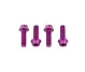 Wolf Tooth Aluminium Bottle Cage Screw Set – M5x15mm Cylinder Head, Purple