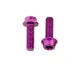 Wolf Tooth Aluminium Bottle Cage Screw Set – M5x15mm Cylinder Head, Purple