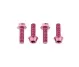 Wolf Tooth Aluminium Bottle Cage Screw Set – M5x15mm Cylinder Head Pink