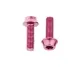 Wolf Tooth Aluminium Bottle Cage Screw Set – M5x15mm Cylinder Head Pink