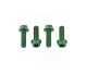 Wolf Tooth Aluminium Bottle Cage Screw Set – M5x15mm Cylinder Head Green – Remaining Stock