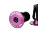 Wolf Tooth Bar End Handlebar End Caps – screw-on 16–21.5 mm aluminium, purple