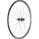 28-inch road/gravel rear wheel: DT Swiss 240 EXP straight-pull hub + DT Swiss RR 421 rim | built by TNC